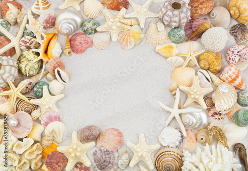 Seashells, coral, sea urchins and starfishes on white sand background with copy space