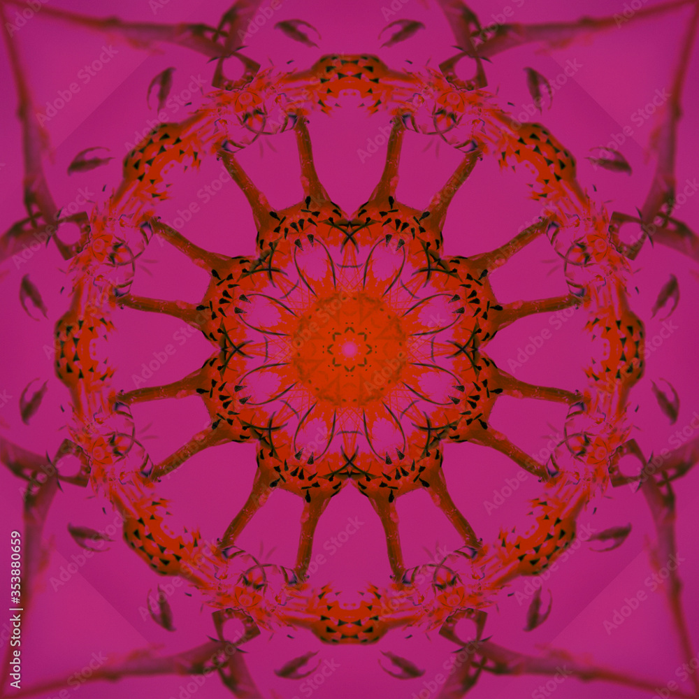 Colored background with flowers, effect of a kaleidoscope.