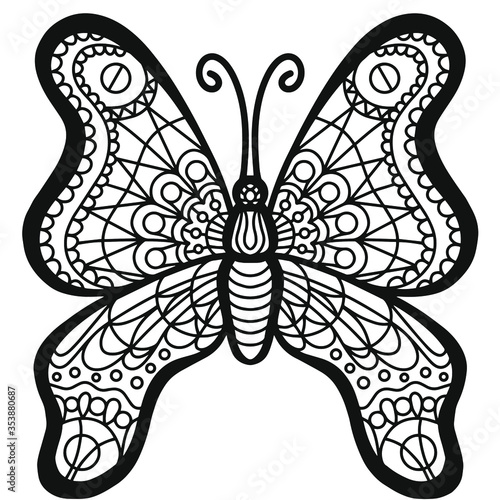 Magnificent vector butterfly. Adult antistress coloring page. Detailed wings.  photo