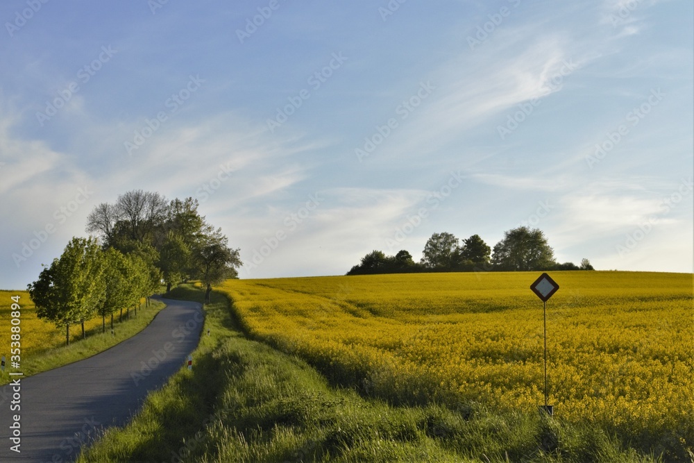 Obraz premium Sign by the road in rural areas