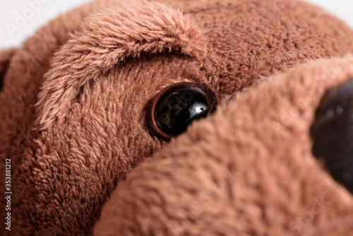 Photography plush dog brown and fluffy