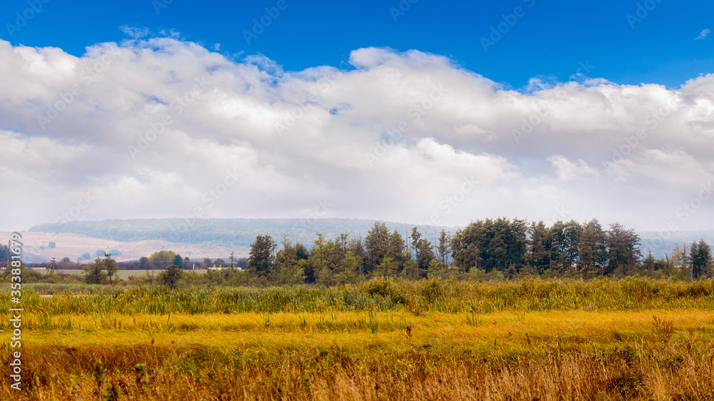 Autumn landscape with dry grass in the field, trees in the distance and blue sky with white clouds