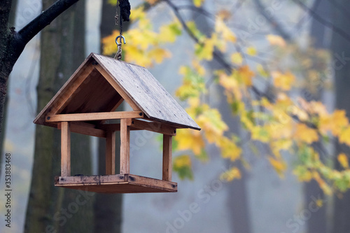 Feeder for birds in the autumn park. Autumn park in the morning with fog