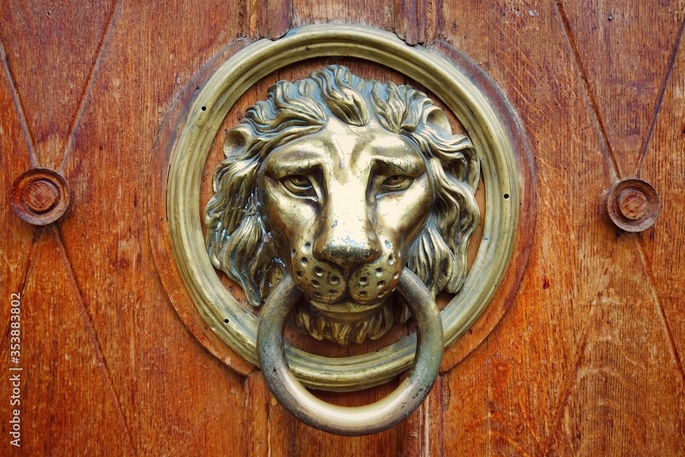 Metal decoration in the form of a lion’s head on an old door