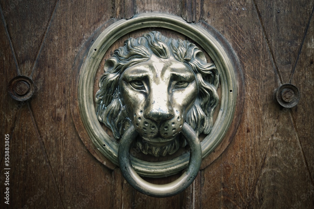 Metal decoration in the form of a lion’s head on an old door