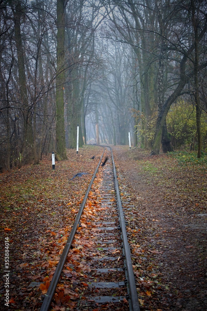 Fototapeta premium Abandoned railway track in the autumn forest