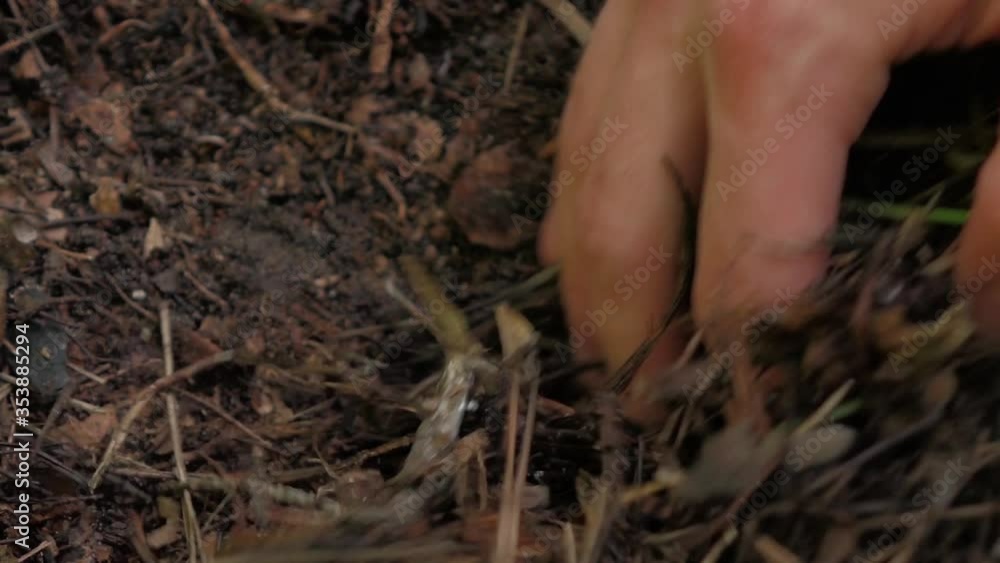 a man buries a lump in the ground a man buries a lump in the ground