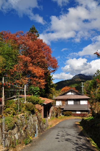 Paysage de la Nakasendo entre Magome-Tsumago