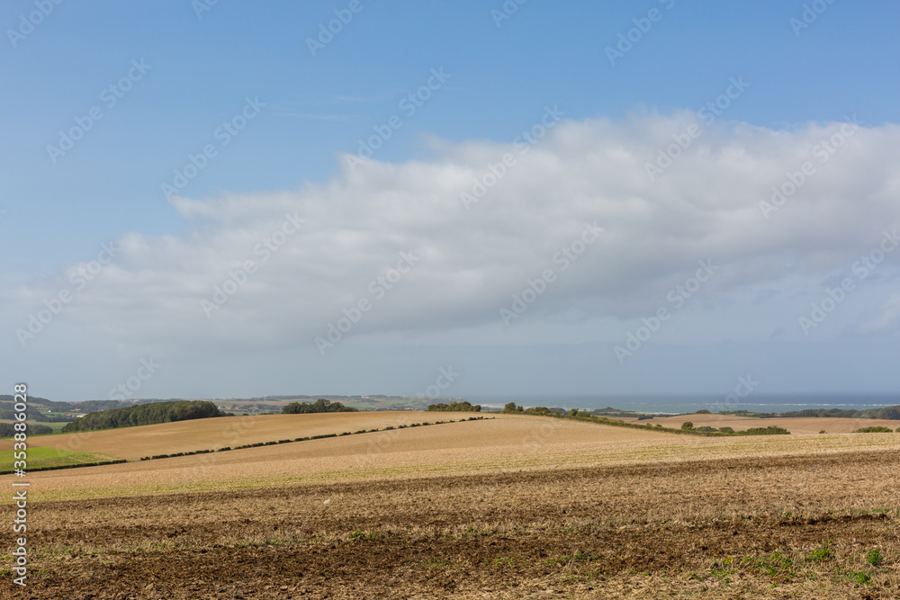 Paysage de campagne sur la Côte d'opale, Wissant, France. / Countryside landscape on the Opal Coast, Wissant, France.