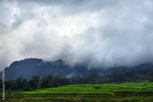 Paddy field mountain landscape with clouds