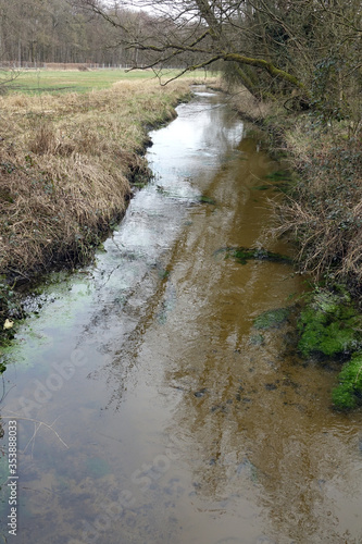 Bach im Mönchbruch photo