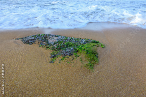 sand beach and waves