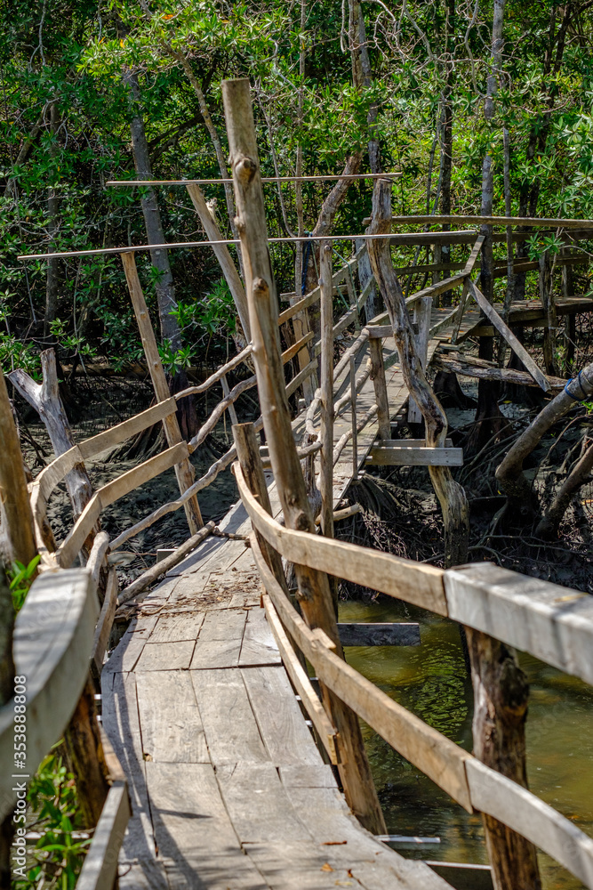 Rickety wooden bridge across a alligator infested river in the Cosa Rican Jungle Rickety wooden bridge across a alligator infested river in the Cosa Rican Jungle
