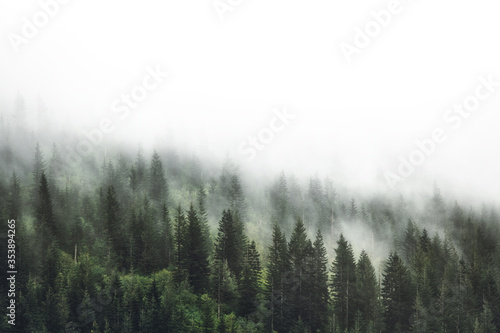 Fototapeta widok dolina niebo las