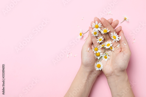 Woman holding chamomiles on pink background, top view. Space for text