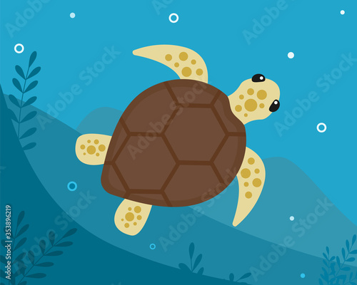 Fototapeta Naklejka Na Ścianę i Meble -  A tropical sea turtle swims under the ocean near the bottom with algae. Vector flat illustration of sea turtle. Symbol of ecosystem, clean ecology.