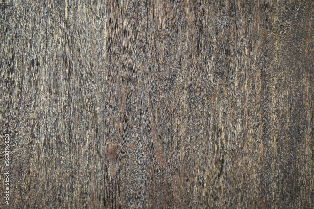 Texture of bark wood Texture of bark wood