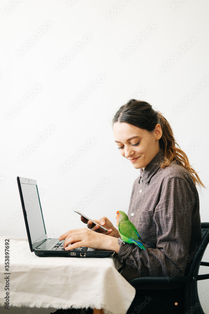 young European woman, working from home during the virus quarantine, on her laptop.a small green lovebird parrot sits on a laptop monitor.A cosy working place,the concept of remote work. freelance young European woman, working from home during the virus quarantine, on her laptop.a small green lovebird parrot sits on a laptop monitor.A cosy working place,the concept of remote work. freelance