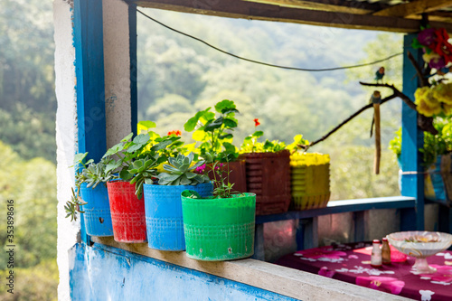 Colorful Plastic Potted Plants at Tea House in Nepal © Laura Rachfalski