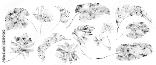 Wallpaper Mural Palm leaves, gold, marble template, artistic covers design, colorful texture, modern backgrounds.Trendy pattern, graphic brochure. Luxury Vector illustration Torontodigital.ca