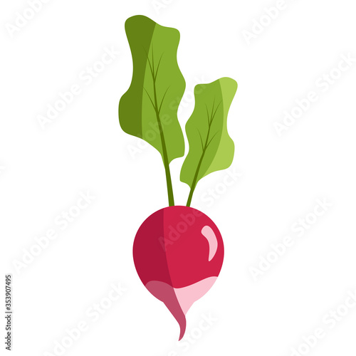 Vászonkép Fresh radish isolated on white background. Radish flat icon.