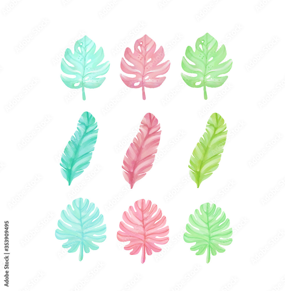 set of watercolor tropical leaves on white background. Green palm leaves, monster, homeplants, banana leaves. Exotic plants. Jungle botanical watercolor illustrations, floral elements. set of watercolor tropical leaves on white background. Green palm leaves, monster, homeplants, banana leaves. Exotic plants. Jungle botanical watercolor illustrations, floral elements.