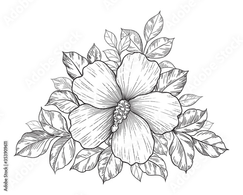 Hand Drawn Floral  Composition with Hibiscus Flower