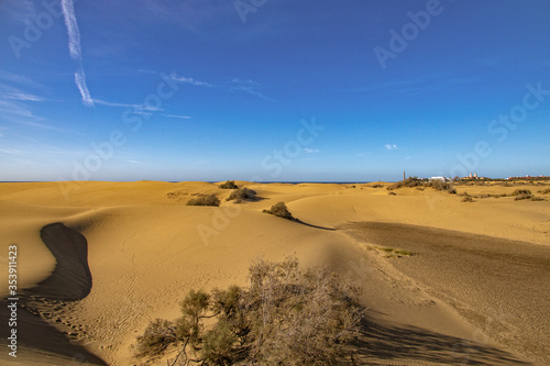 summer desert landscape on a warm sunny day from Maspalomas dunes on the Spanish island of Gran Canaria