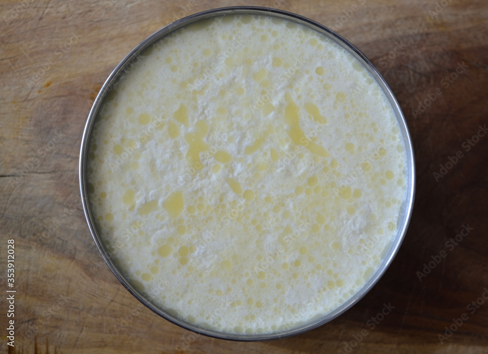 curd in bowl curd in bowl