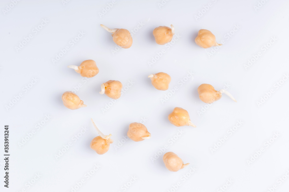 nut krupnym planom. nut na belom fone nut krupnym planom. nut na belom fone