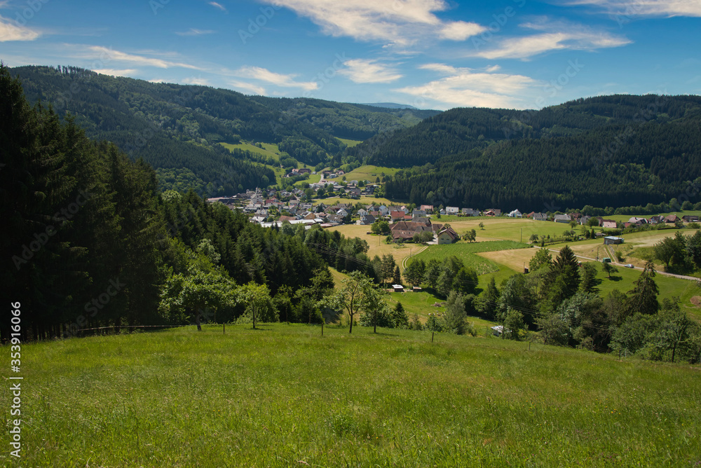 Obraz premium Hofstetten im Kinzigtal im Schwarzwald