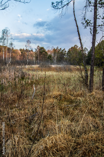 Fototapeta Naklejka Na Ścianę i Meble -  Torfowisko