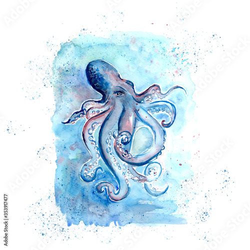 Aquarelle, painting of octopus, sketch art pattern illustration