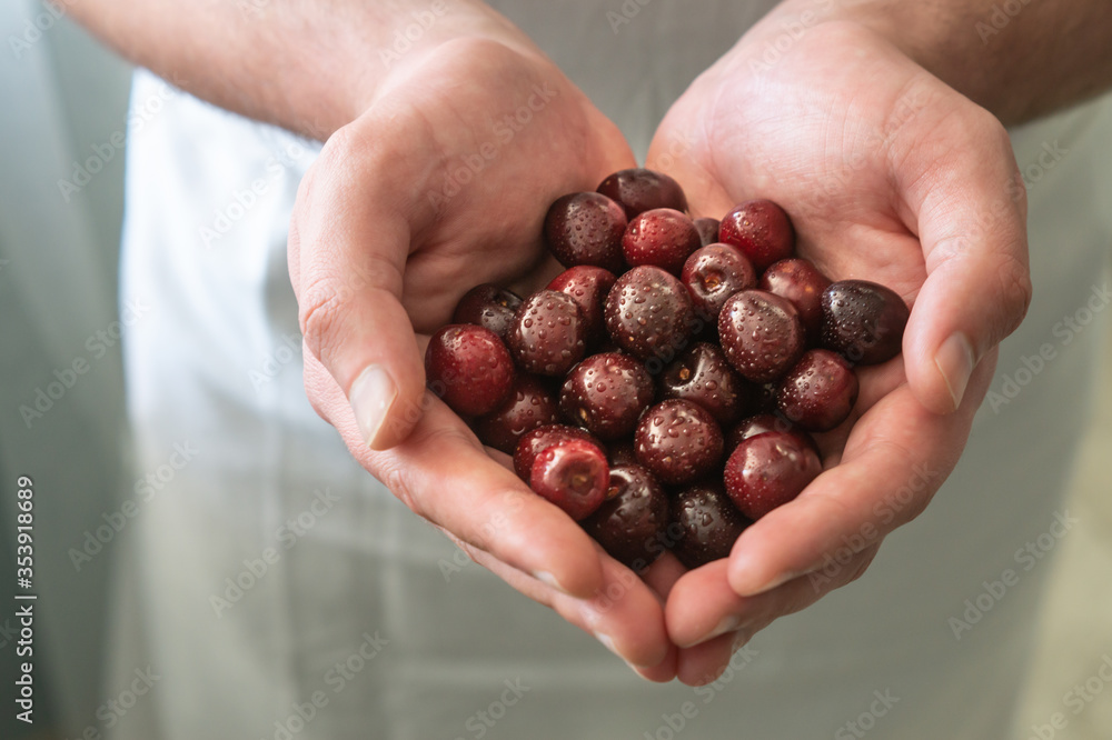 Man's hands full of cherries.Fresh berries, fruits, healthy and proper nutrition. Healthy eating concept.