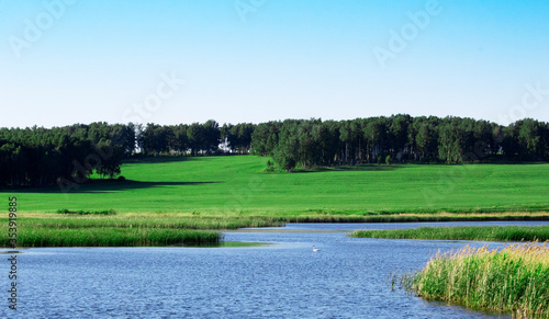 Summer water landscape of the southern Urals.