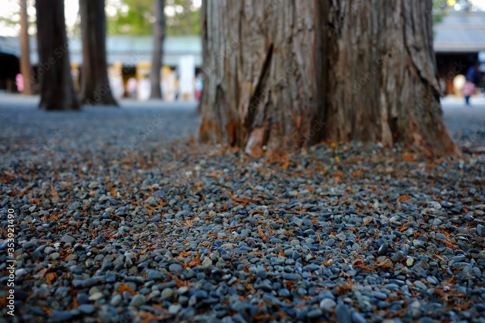 Close up Little Pebbles and Falling Leaves on Ground in the Park. Close up Little Pebbles and Falling Leaves on Ground in the Park.