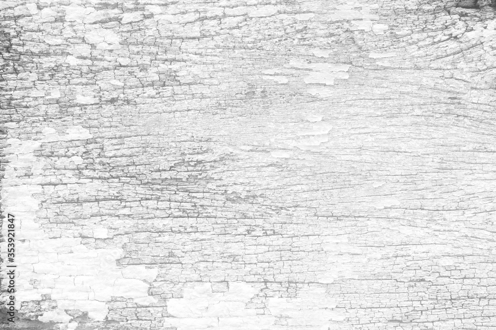 Fototapeta premium White Wooden Board Texture Background, Suitable for Presentation, Backdrop and Web Templates with Space for Text.