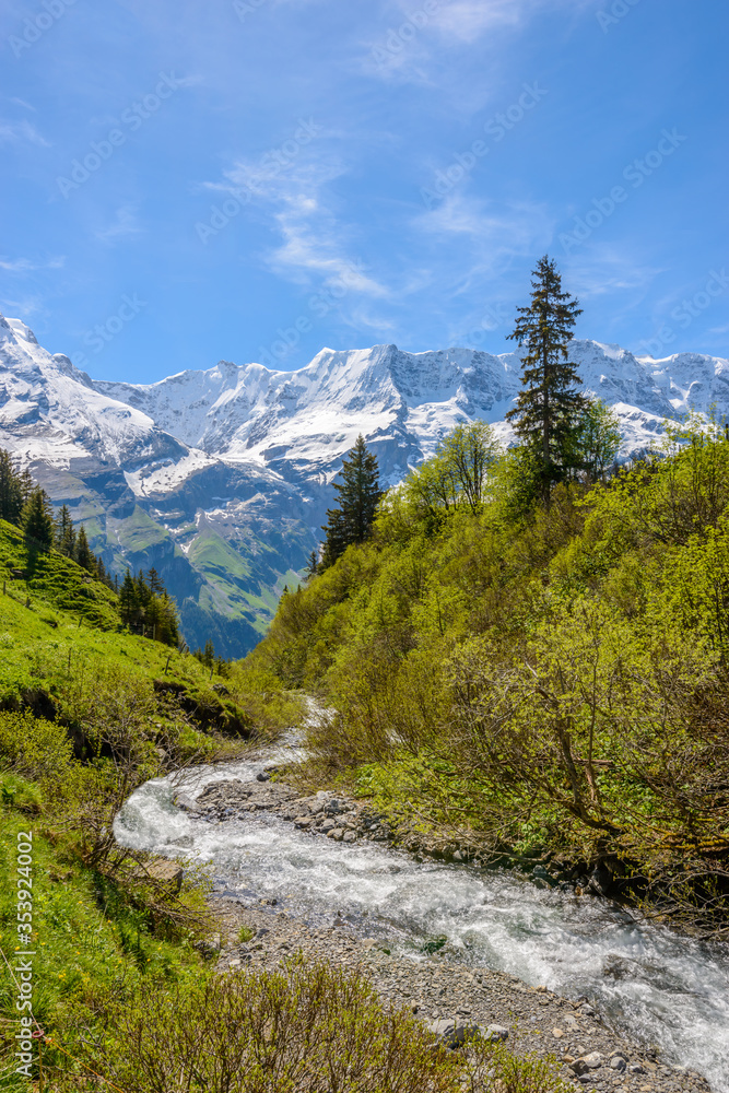 Swiss landscape with creek stream