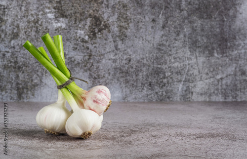 Bunch of fresh garlic on a gray background. Copy space