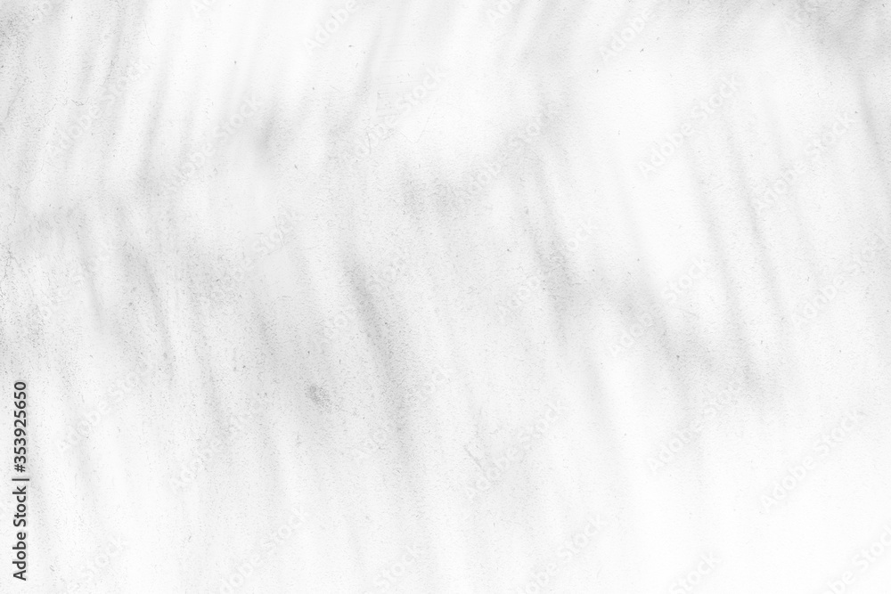 Abstract Palm Leaves Shadow on White Grunge Concrete Wall Texture Background. Abstract Palm Leaves Shadow on White Grunge Concrete Wall Texture Background.