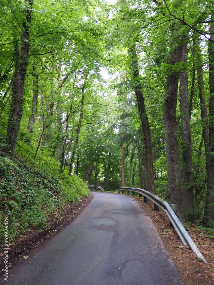Fototapeta premium Tourismus - unterwegs auf Waldstraßen in Österreich
