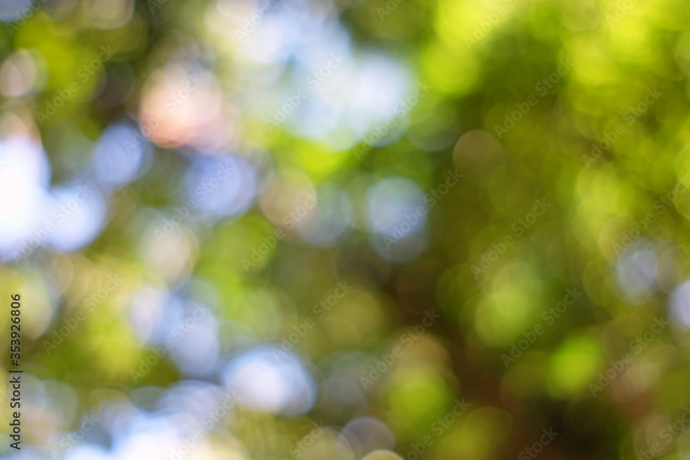 Abstract Colorful Bokeh in the Park Background. Abstract Colorful Bokeh in the Park Background.