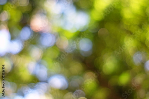 Abstract Colorful Bokeh in the Park Background.