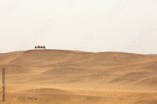 Toursits on camels back on beautiful sand dunes in Giza complex, Egypt