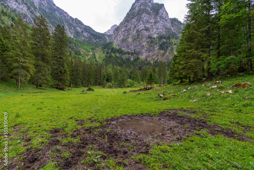 letzter Rest vom Wiesensee in der Nähe des Mittereckerstüberl in Ebensee Oberösterreich photo