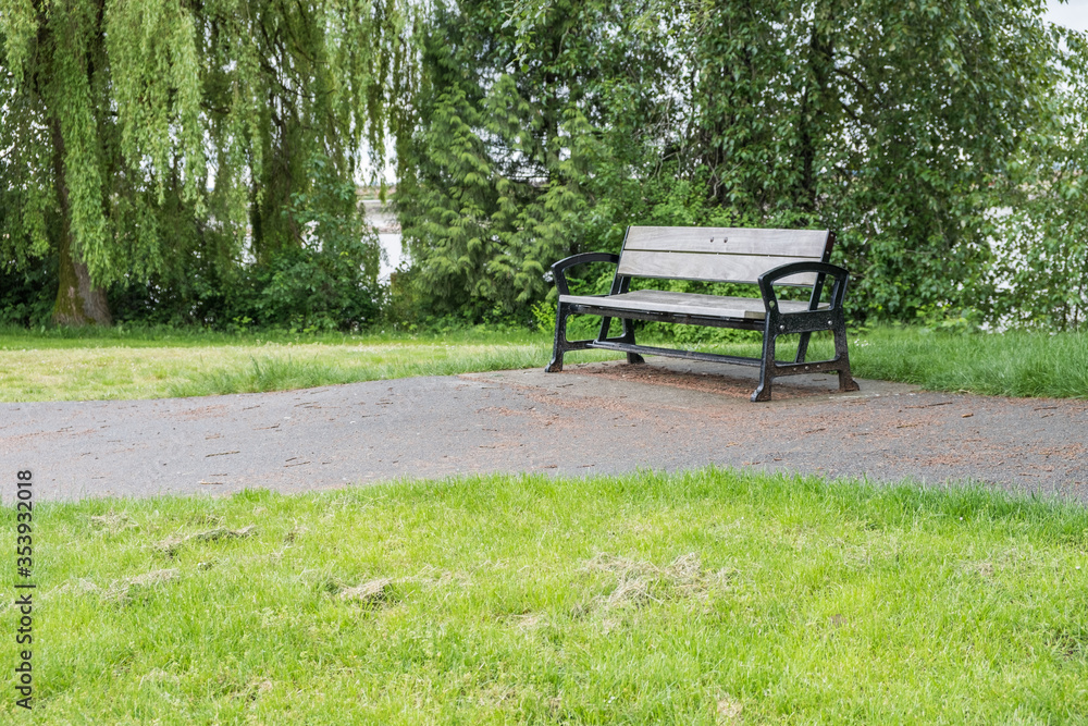 Wooden bench along a green trail Wooden bench along a green trail