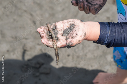 Young child holding an aquatic worm in his hand