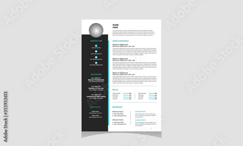 Professional resume (CV) template 