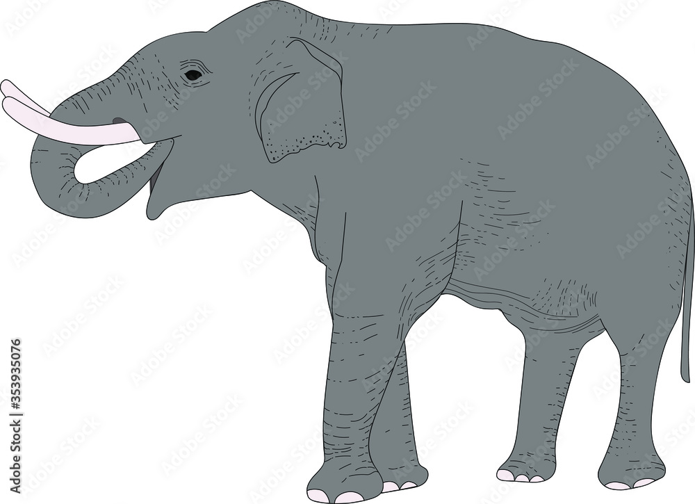 Fototapeta premium vector color illustration, gray elephant hand-drawn. Animals in nature