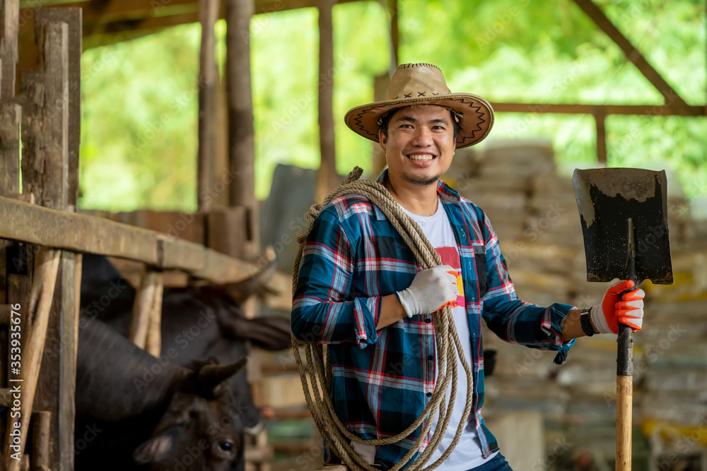 Happy smiling farmer with herd of cows in cowshed on farm,Farmer feeding beef cattle in farm,Agriculture industry,Farming. Happy smiling farmer with herd of cows in cowshed on farm,Farmer feeding beef cattle in farm,Agriculture industry,Farming.